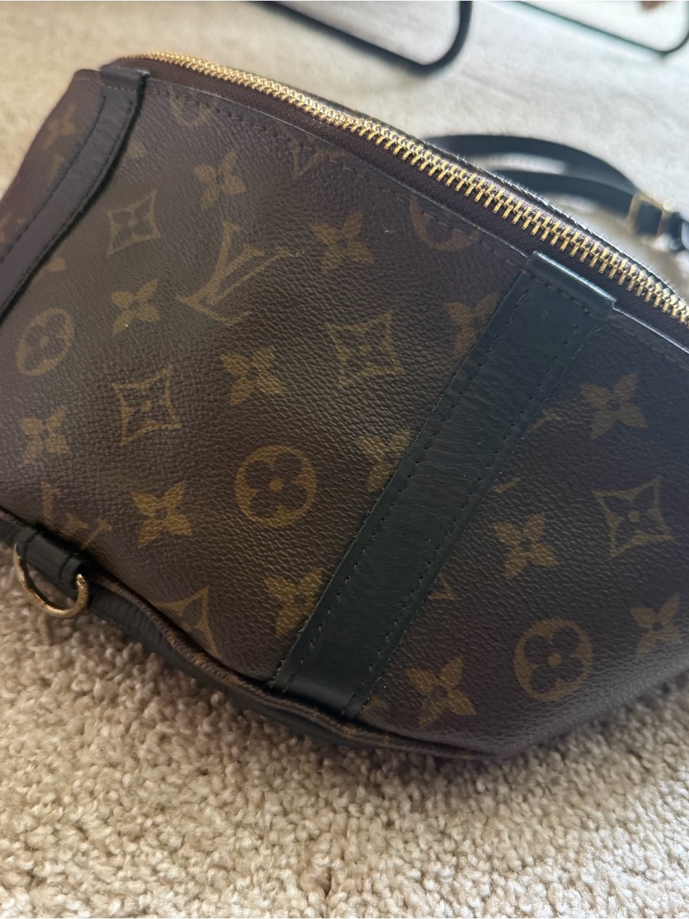 Louis Vuitton Shoulder Bag